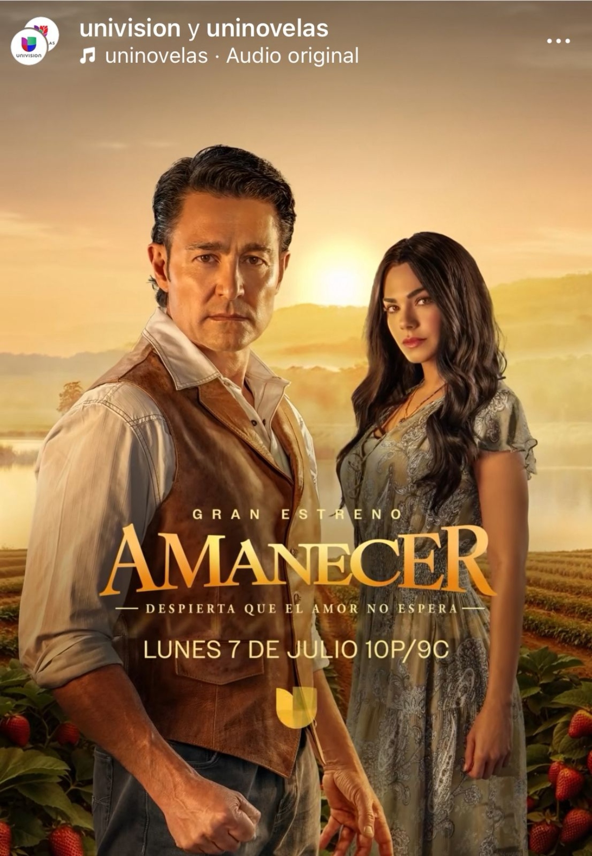 Amanecer, televisión, show