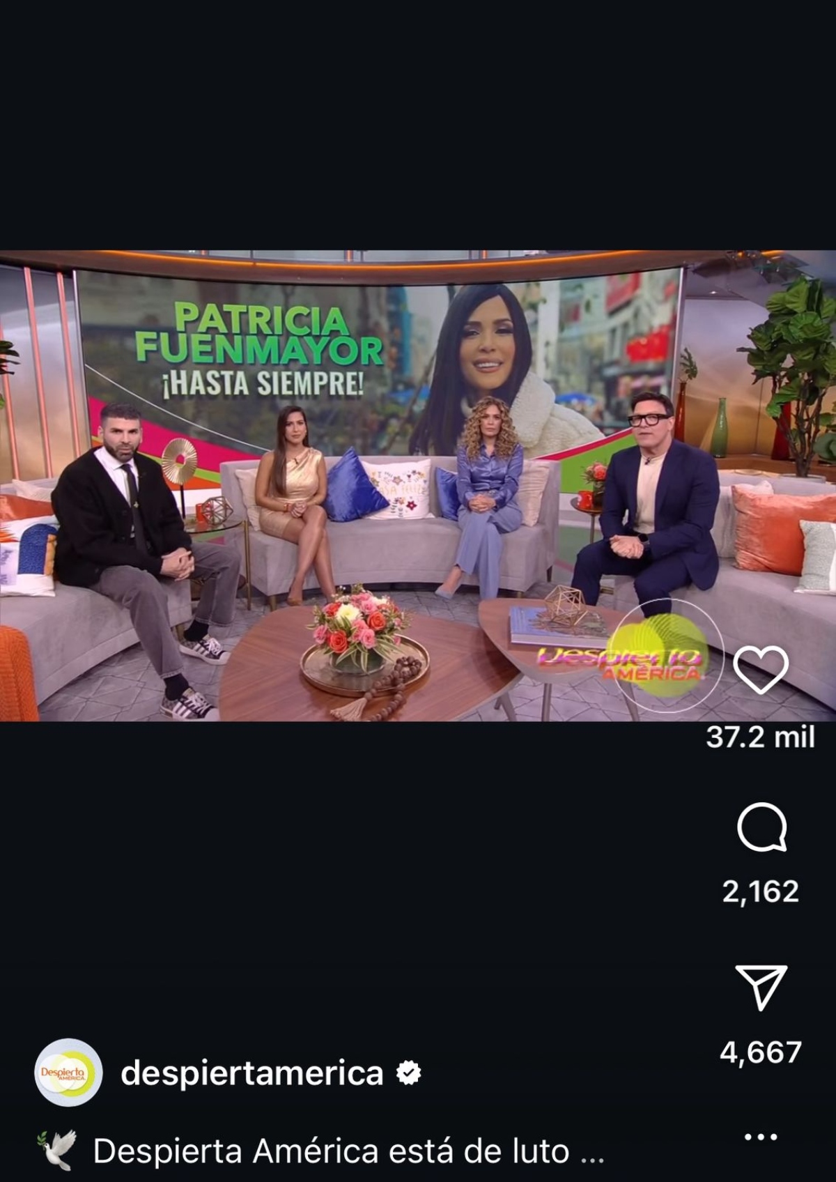 entretenimiento, espectáculos