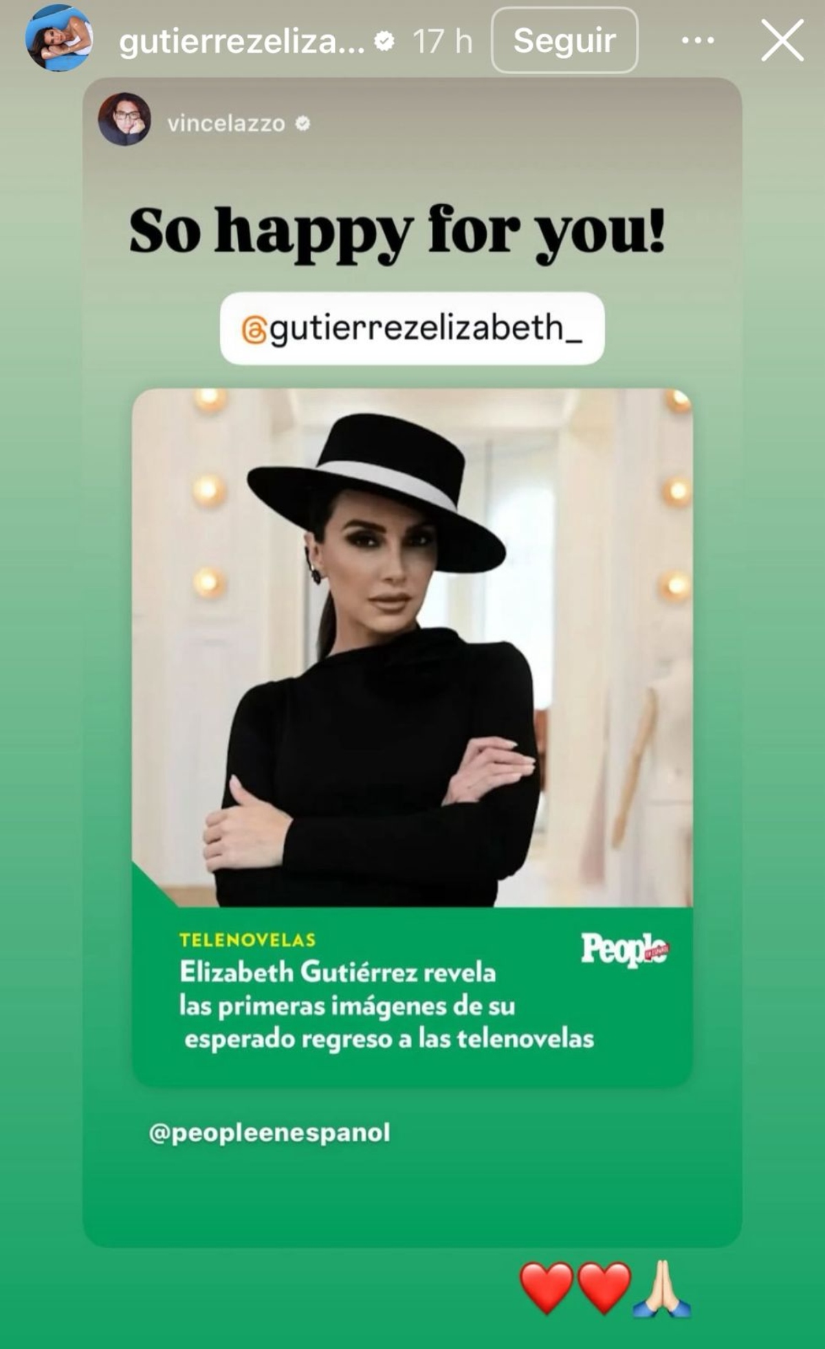 famosos, telenovelas