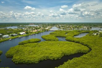 Everglades Florida