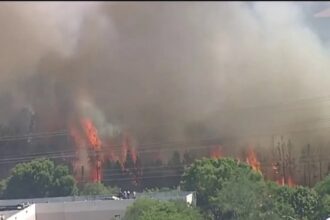 incendio forestal