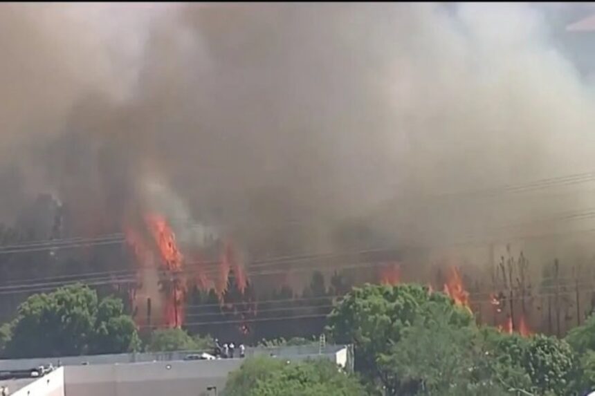 incendio forestal