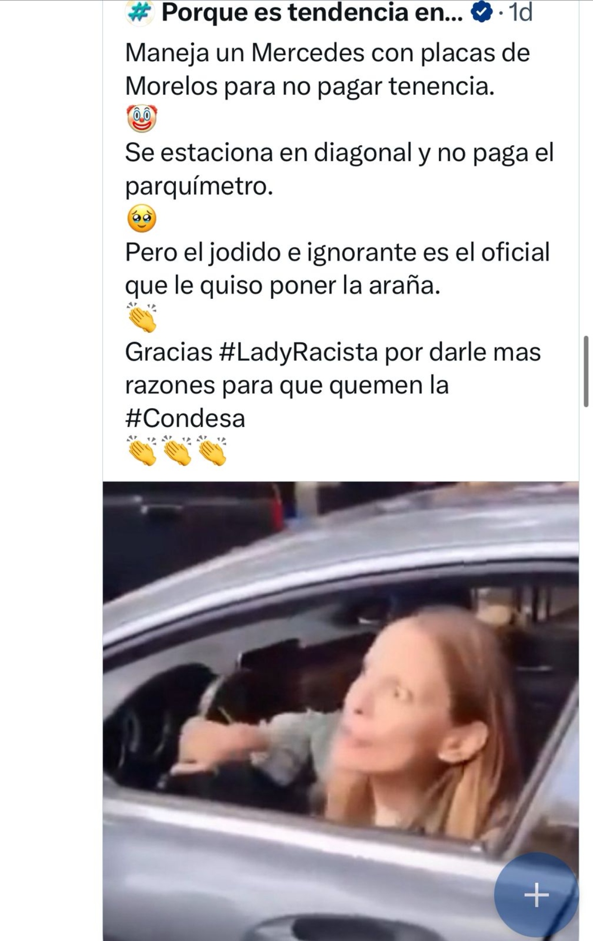 Lady Racista, política, policía
