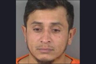 Luis Álvarez, inmigrante