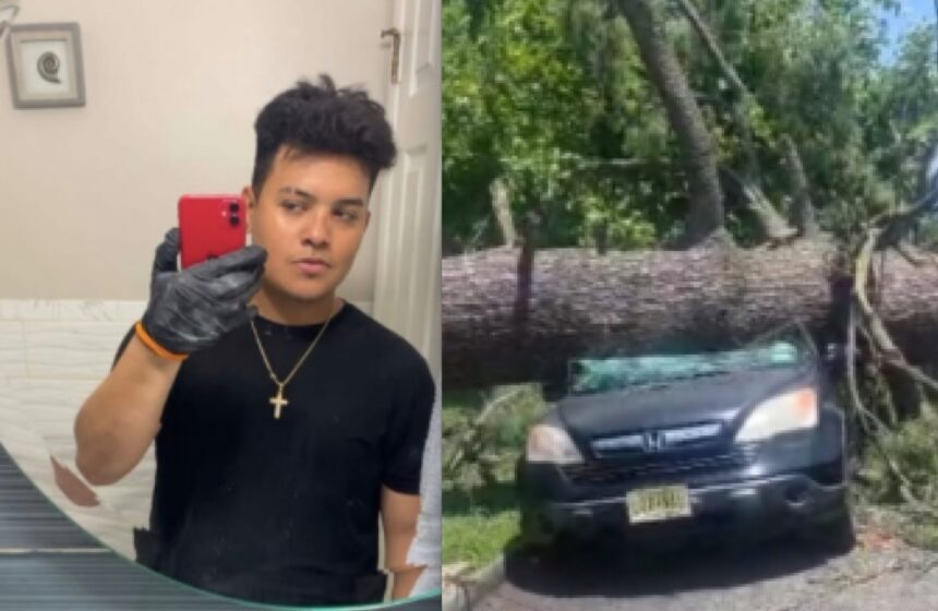 Bryan Flores Valladares, tragedia, árbol