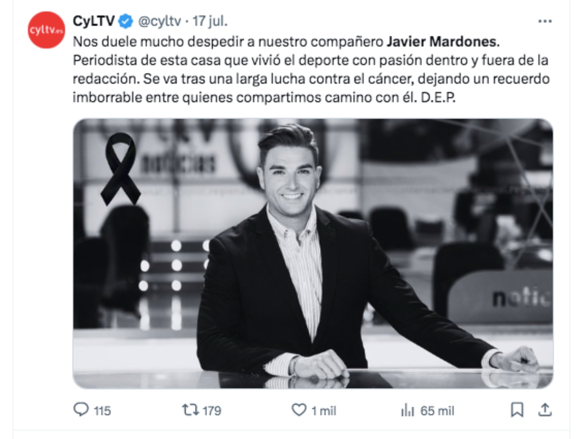 Javier Mardones, televisión