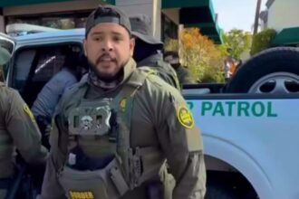 agente de migración