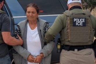 ICE 100000 arrestos, ICE, arrestos de ICE, QuéOnnda