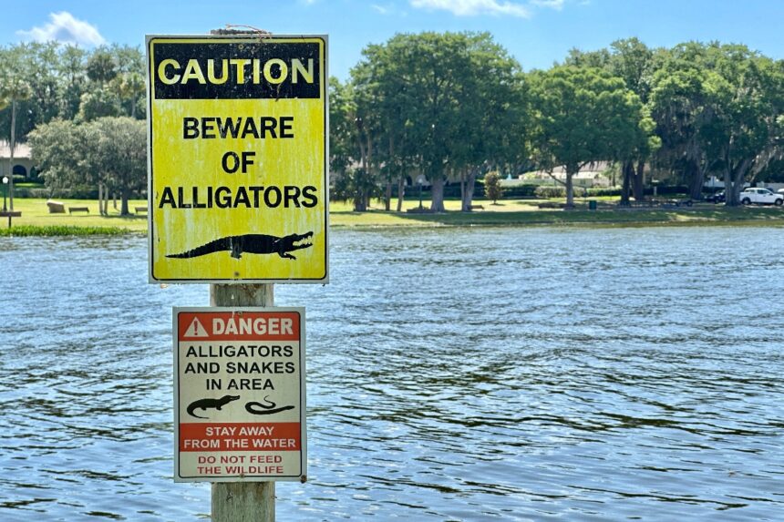 Alligator Alcatraz