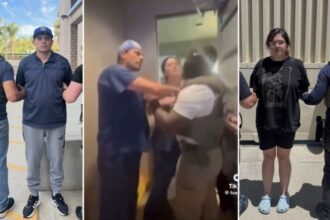 immigration arrest