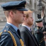 Rosie Roche, William, Harry