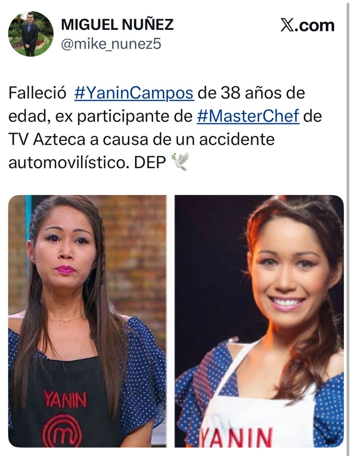 Yanin Campos, Master Chef, influencer