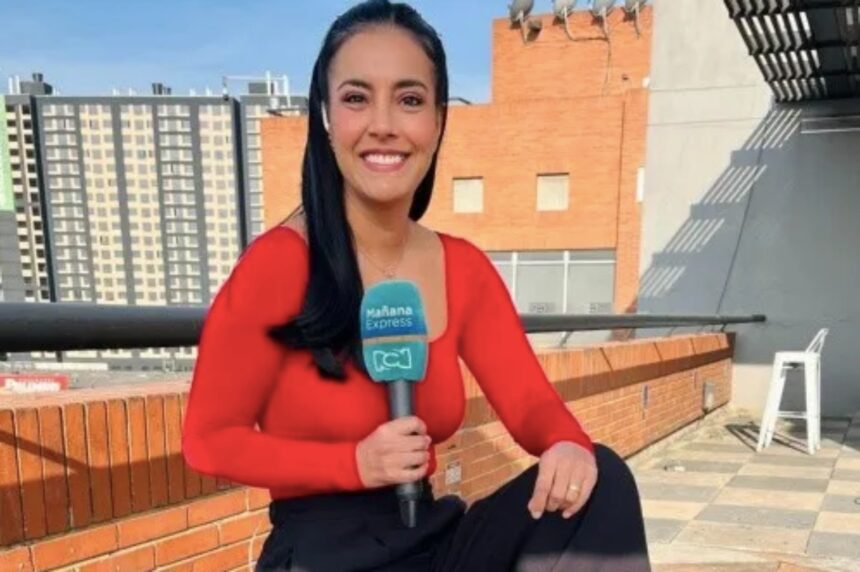 Alejandra Gómez, televisión