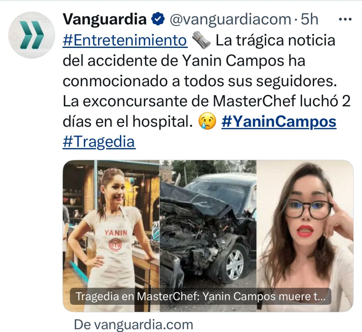Yanin Campos, influencer, Master Chef