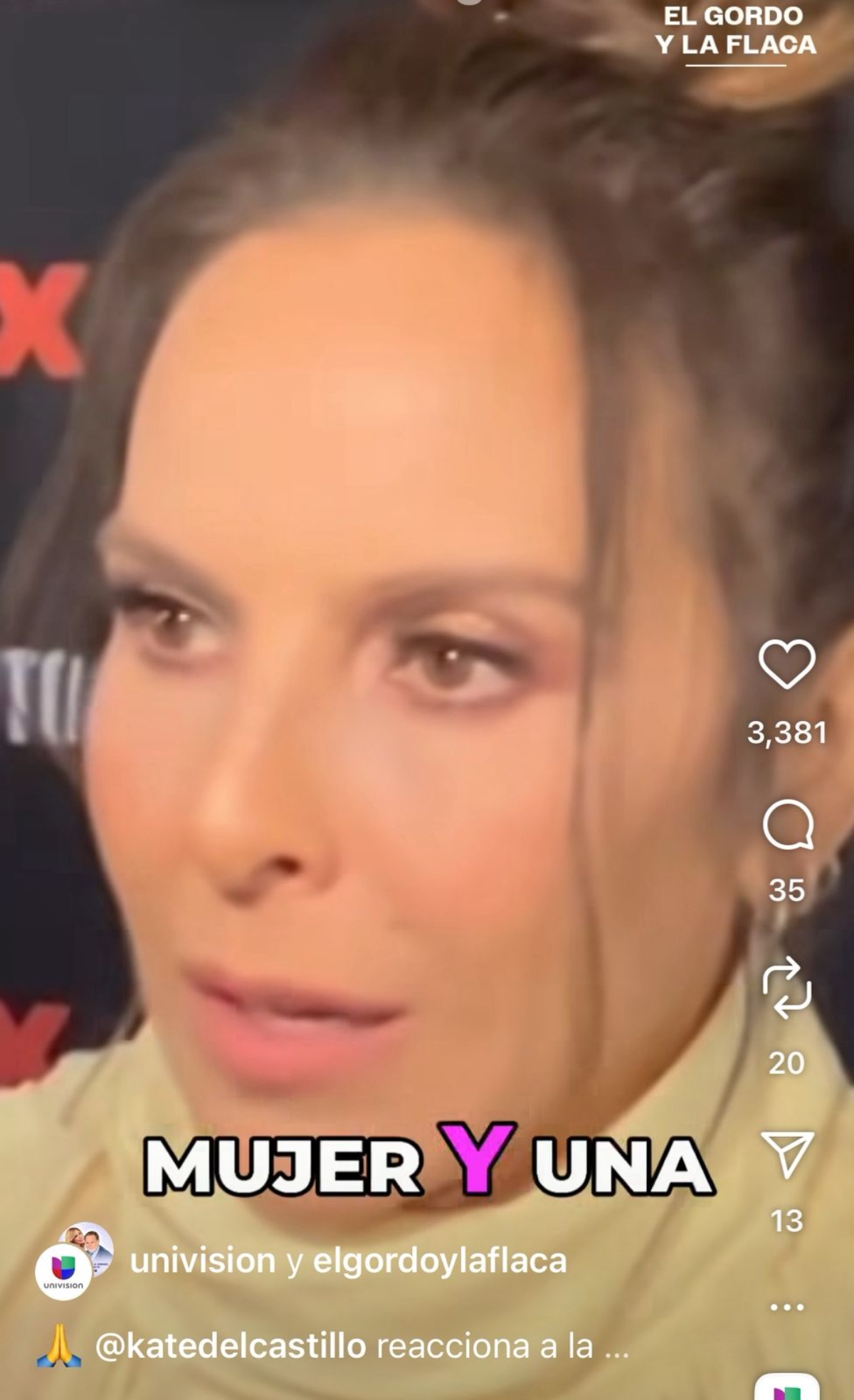 Kate del Castillo, Yolanda Andrade, televisión