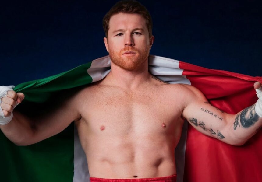 Canelo, box