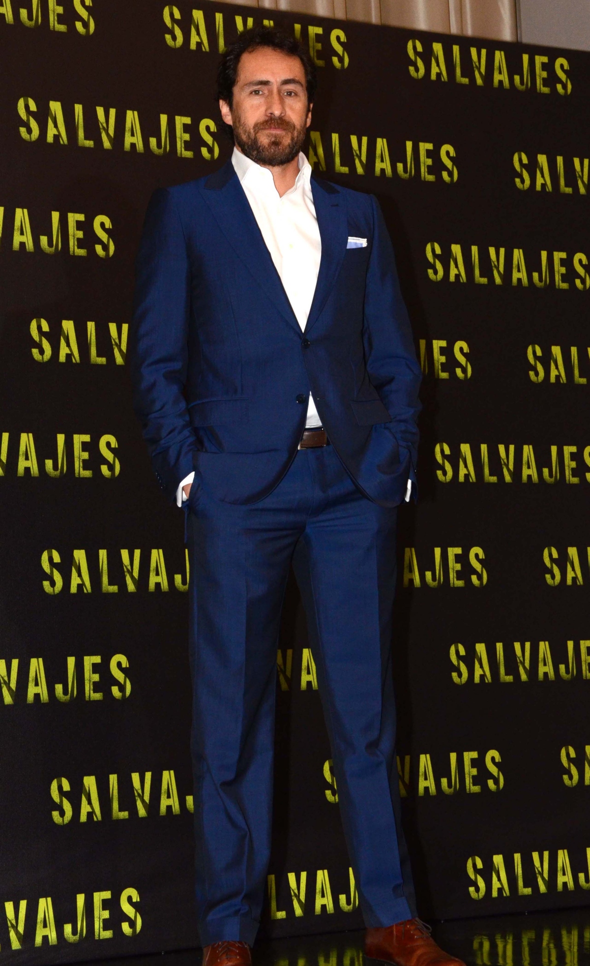 Demian Bichir, cine
