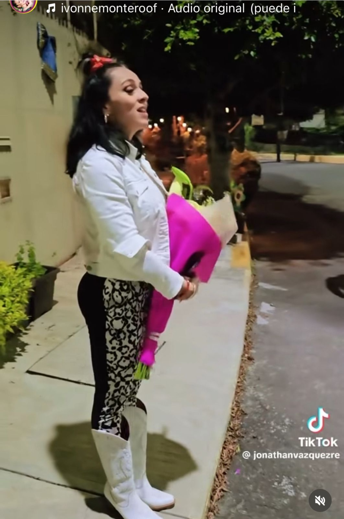Ivonne Montero, música, televisión