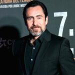 Demián Bichir, cine