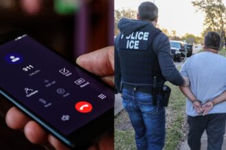 llamadas 911 redadas, llamadas 911, redadas, ICE, Los Ángeles, QuéOnnda