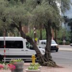 multa de ICE, ICE, autodeportación, inmigrantes, QuéOnnda