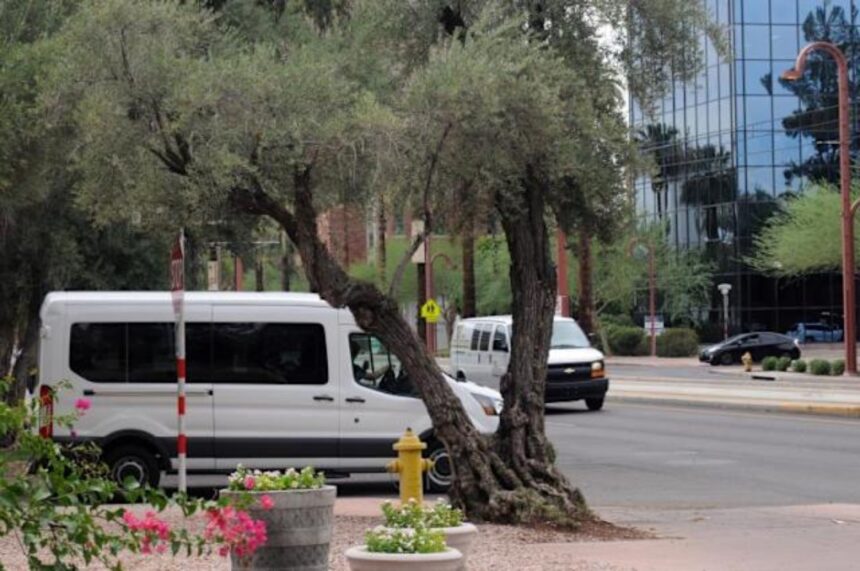 multa de ICE, ICE, autodeportación, inmigrantes, QuéOnnda