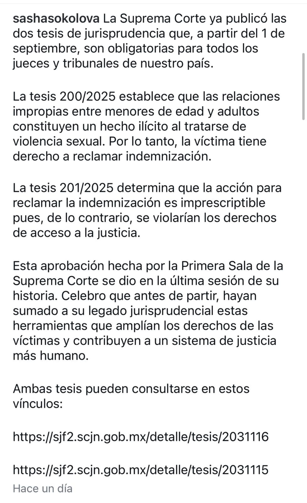 Sasha Sokol, Luis De Llano, justicia