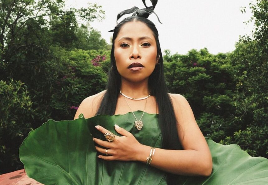 Yalitza Aparicio, televisión