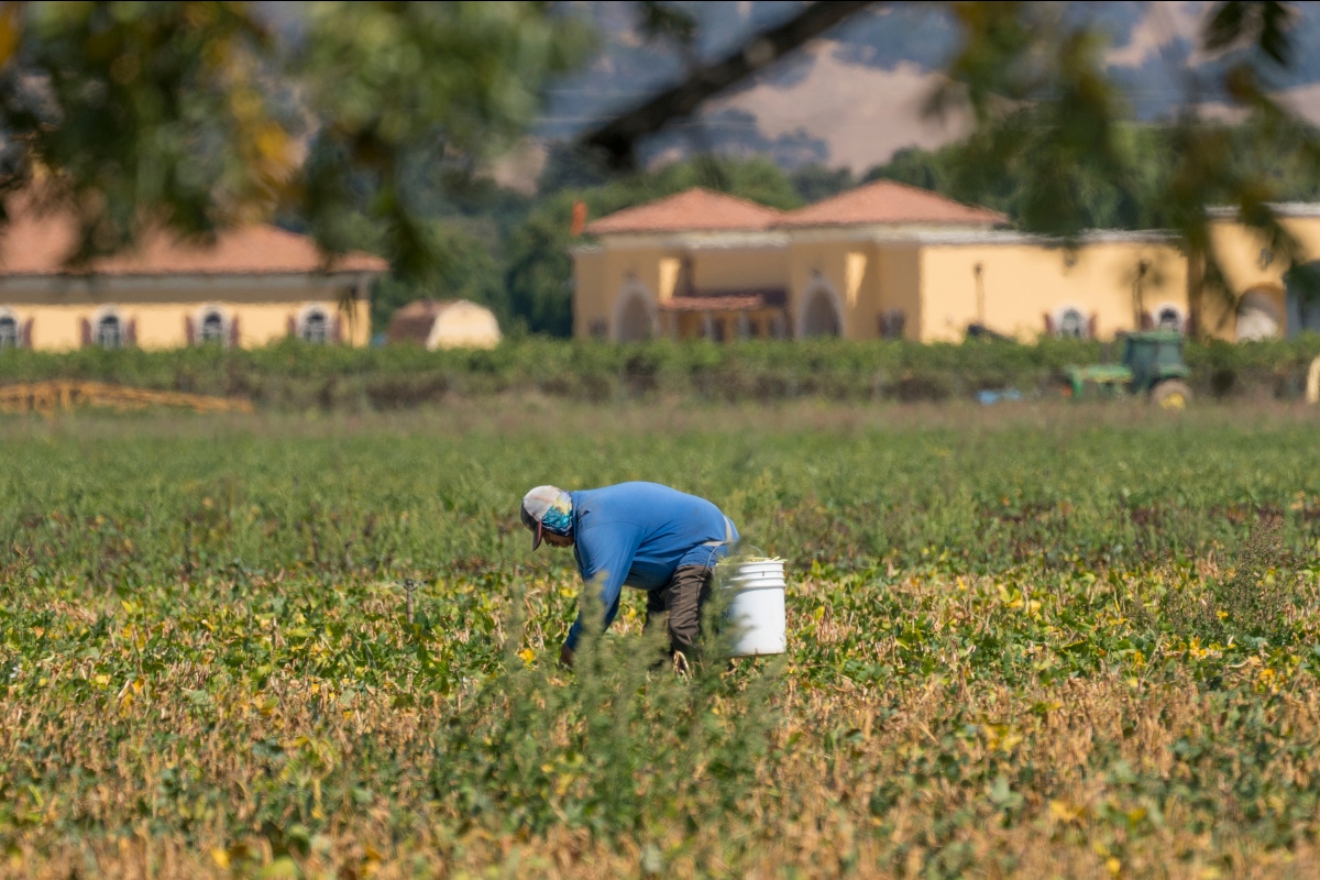 trabajadores inmigrantes