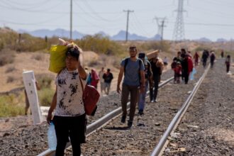 migrantes