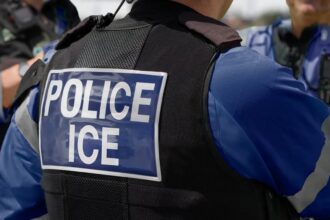 nuevo software de ICE, ICE, software de ICE, QuéOnnda
