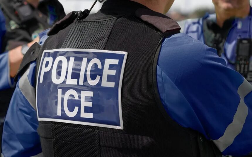 nuevo software de ICE, ICE, software de ICE, QuéOnnda