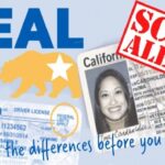 Real ID ICE, Real ID, ICE, Immigration, QuéOnnda
