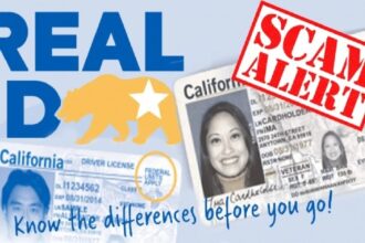 Real ID ICE, Real ID, ICE, Immigration, QuéOnnda
