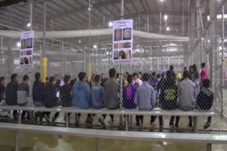 Deportees, migrants,
