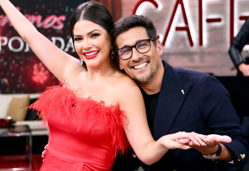 Rafael Araneda, Ana Patricia Gámez, televisión