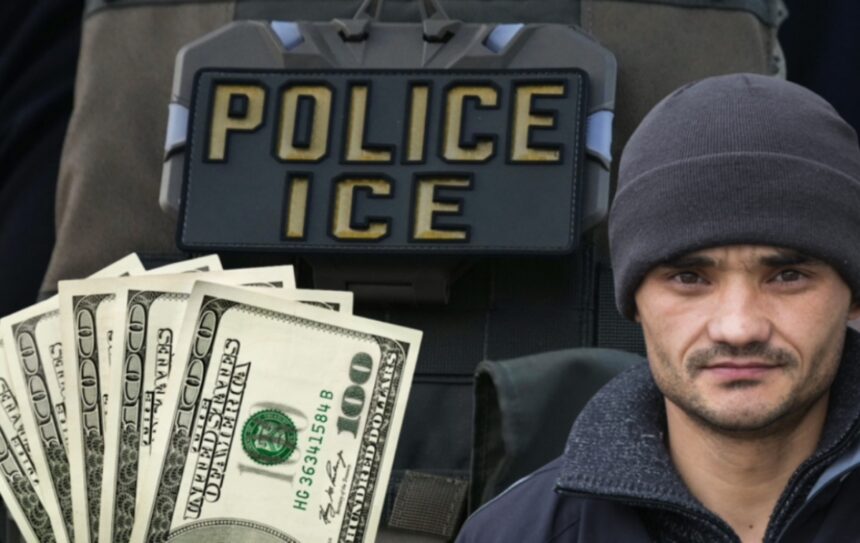 ICE raids, aid fund, ICE raids, QuéOnnda, ICE raids fund