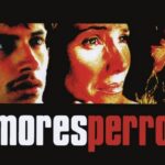 Amores Perros, Gael García Bernal