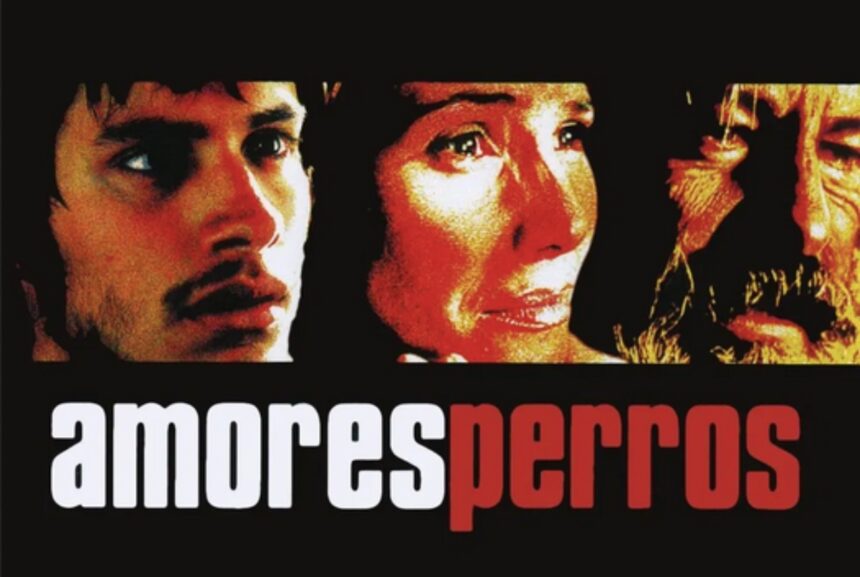 Amores Perros, Gael García Bernal