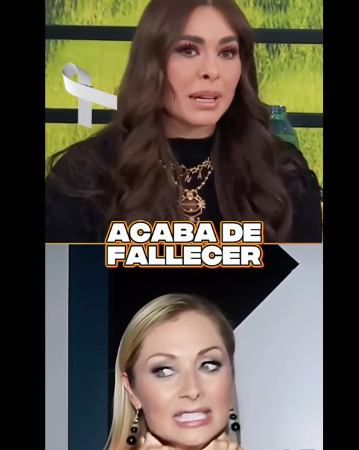 Leticia Calderón, Galilea Montijo, famosos