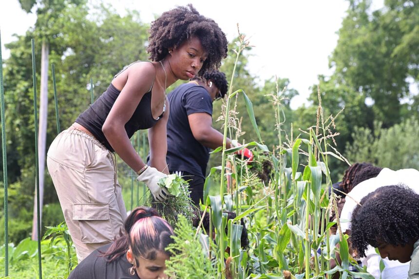 talleres gratuitos Massachussets, Boston, Massachussets, QuéOnnda