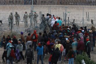 Texas immigrant licenses, Texas, immigrant licenses, QuéOnnda