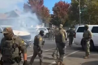 use of force immigration agents, immigration agents, ICE, Chicago, Illinois, Quéonnda