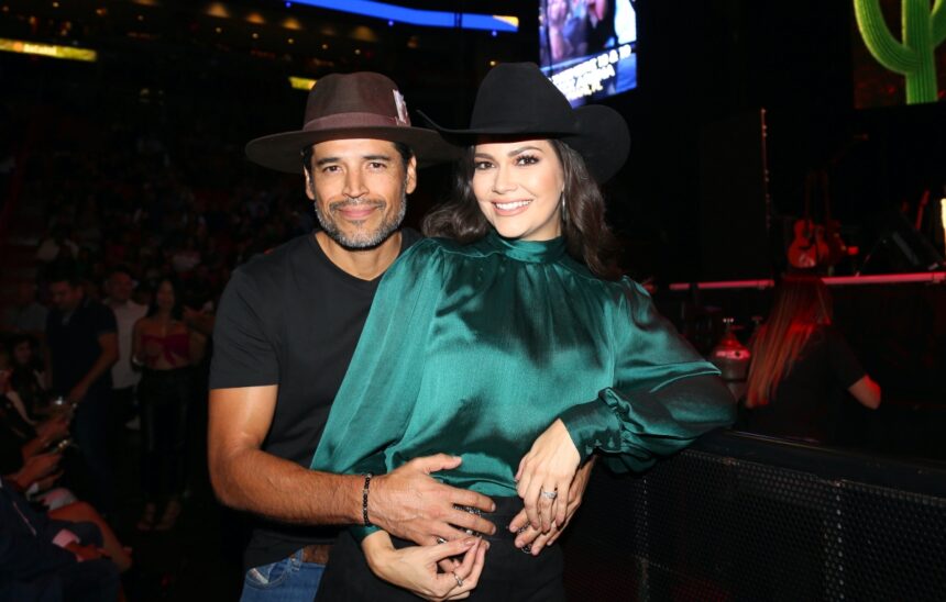 Ana Patricia Gámez, television