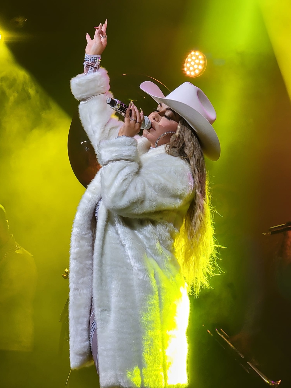 Chiquis Rivera, música