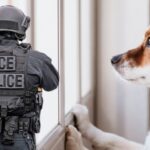dogs detect ICE raids, ICE dogs, ICE dogs, dogs raids, QuéOnnda