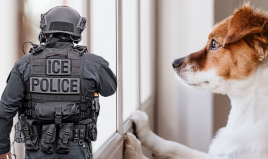 perros detectan redadas ICE, perros ICE, perros redadas, QuéOnnda