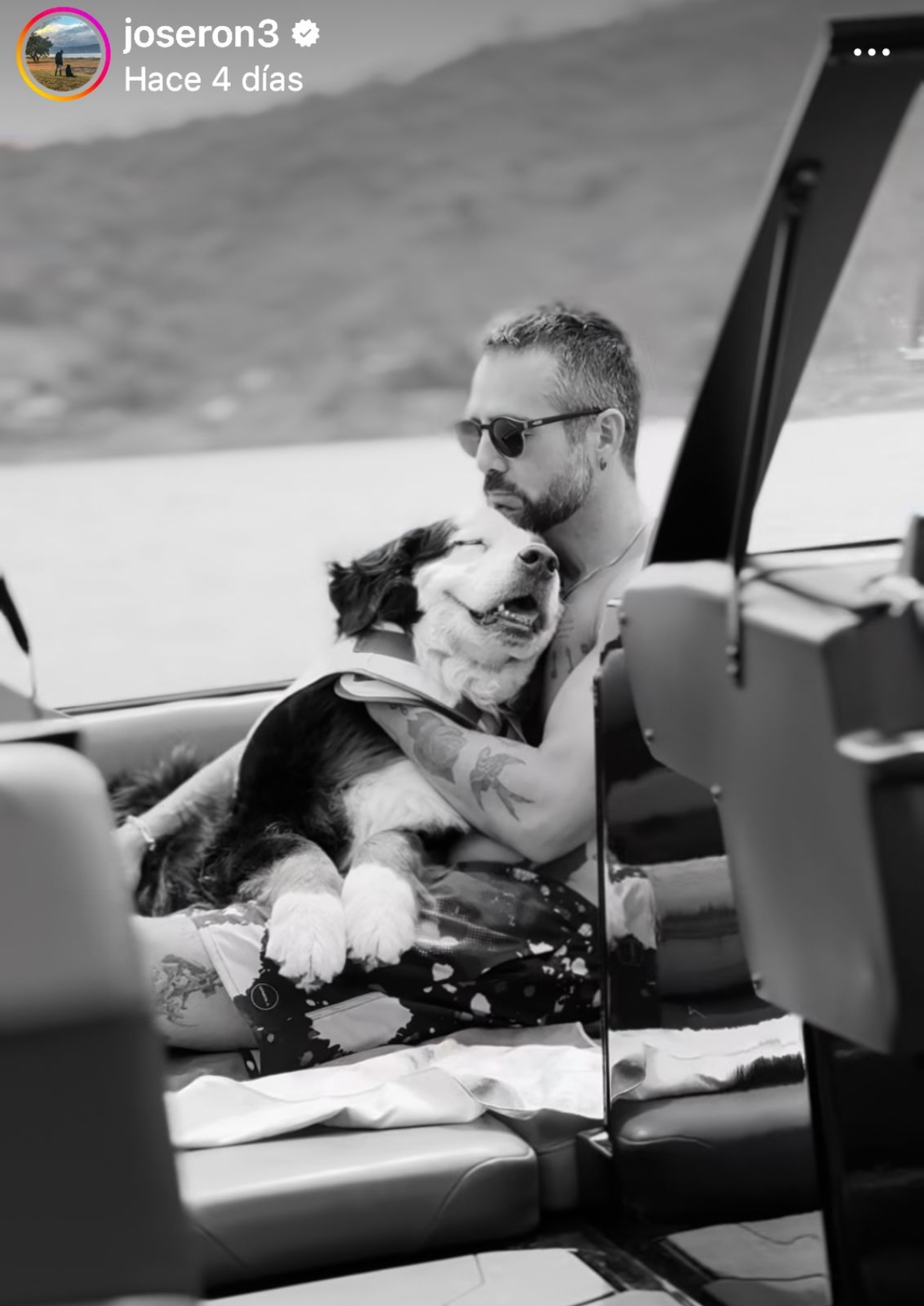 José Ron, entretenimiento