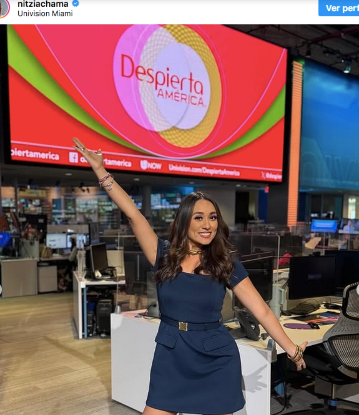 Despierta América, famosos, televisión