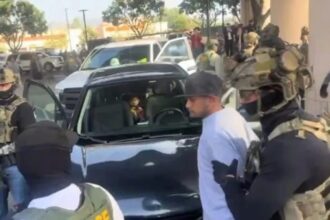 ICE baby carriage, ICE, Cypress Park, Home Depot, QuéOnnda